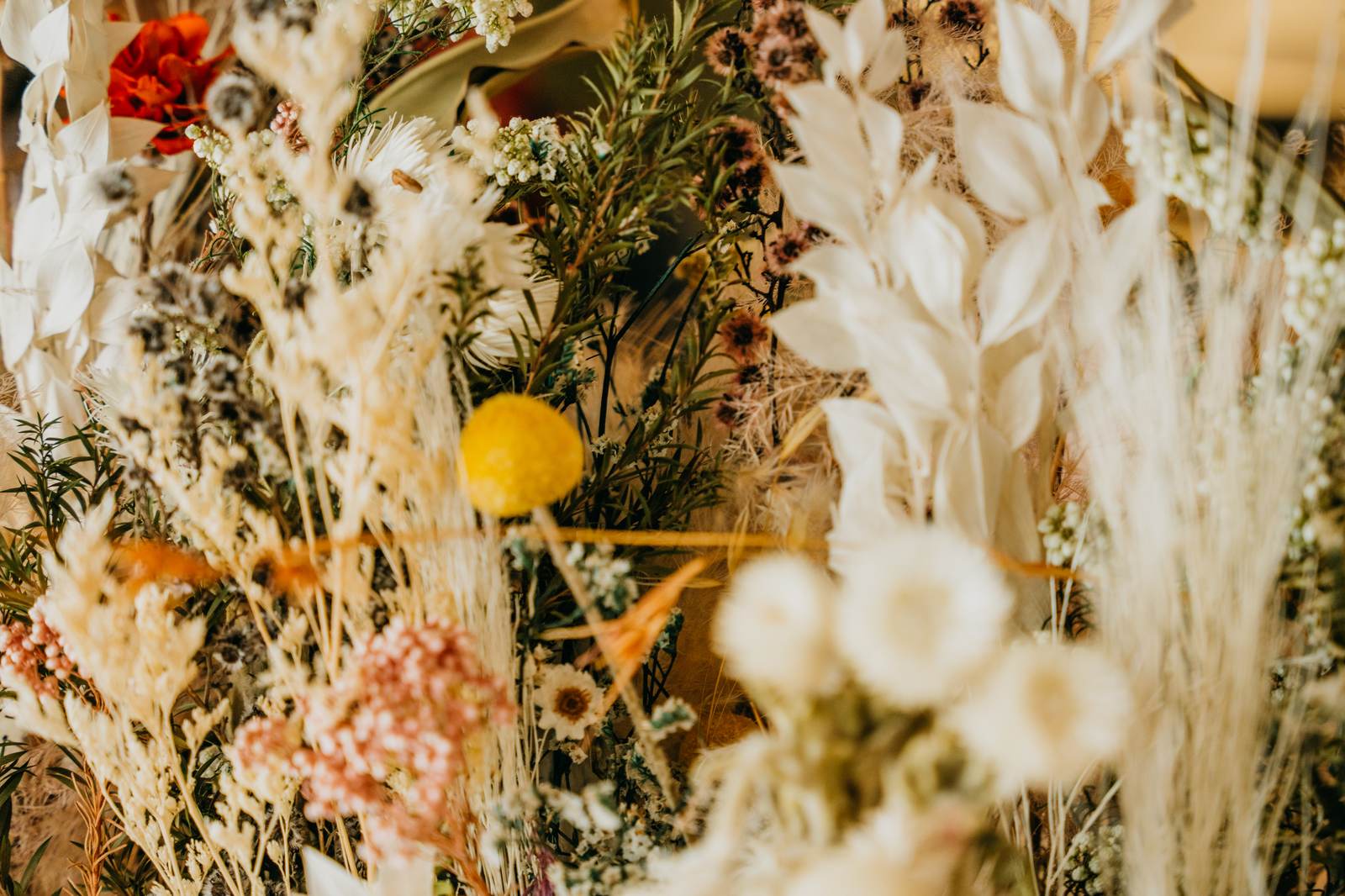 Native Australian dried wildflowers